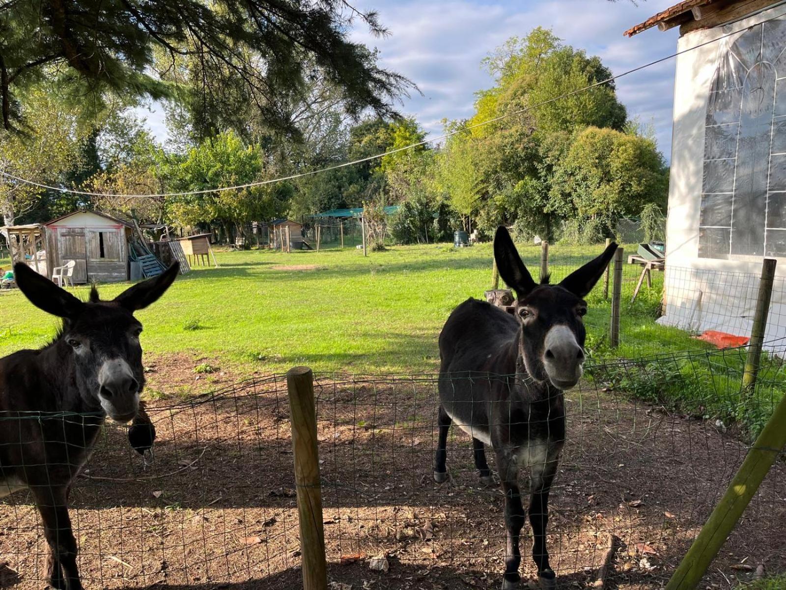 Casa Feletto Con Parco Vicino Uscita Autostrada E Fiera Holiday home *